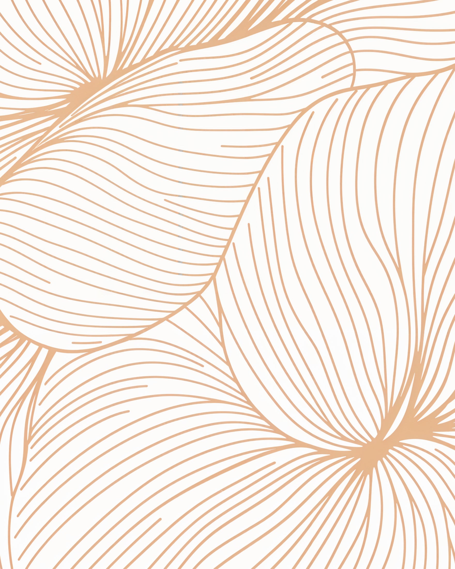 Floral pattern, refined poster - Abstract art - Poster