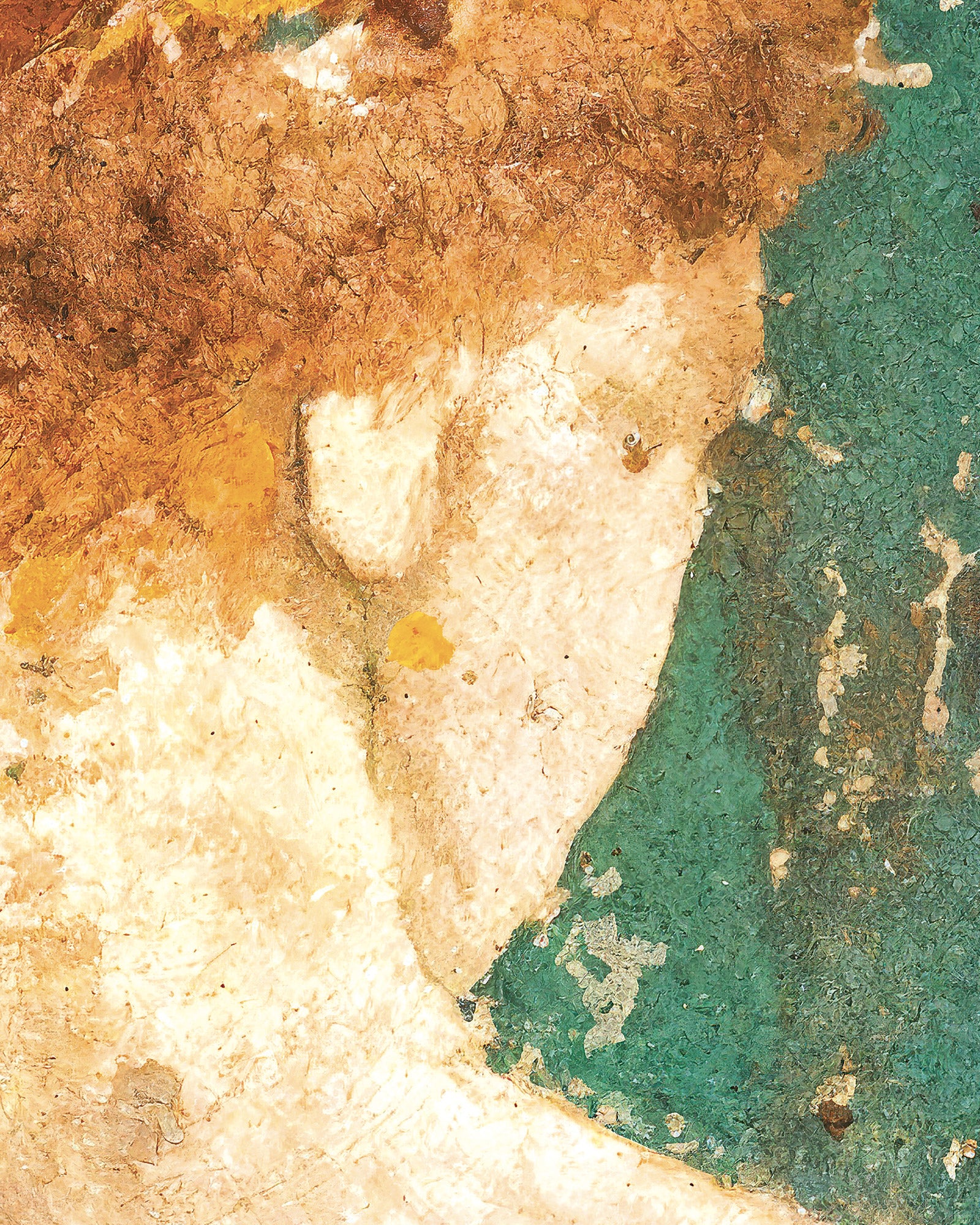 Stabiaen kasvisto, Primavera-freskon yksityiskohta - Juliste