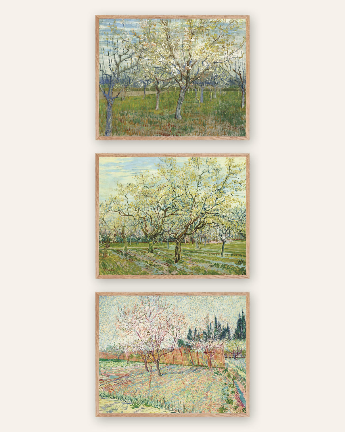 Van Gogh -julisteet kukkivista hedelmätarhoista, 3 kpl setti: vaaleanpunainen, valkoinen ja sypressit, luonnontammikehyksissä