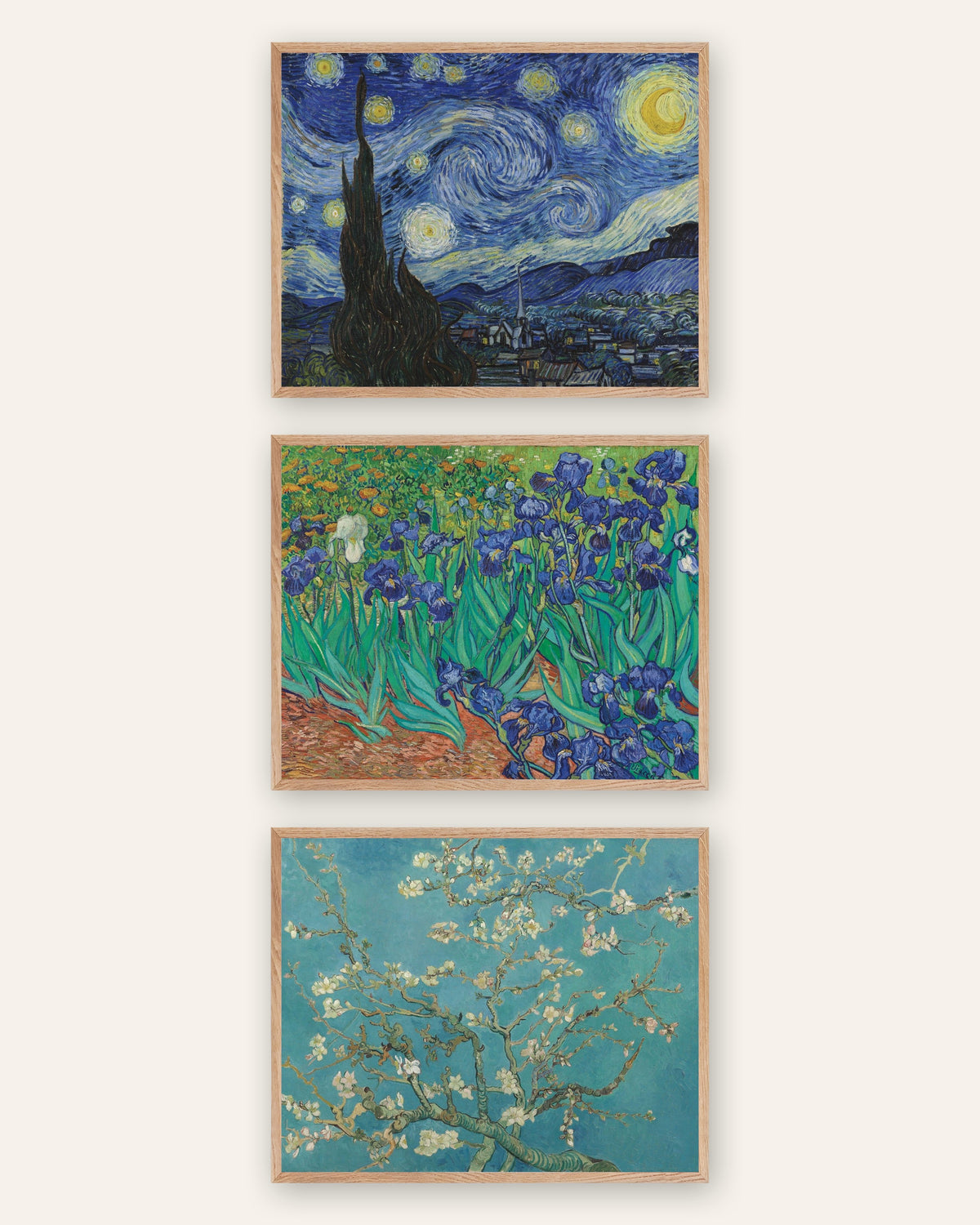 Van Gogh -julisteet, 3 kpl setti: Tähtikirkas yö, Iirikset ja Kukkivat mantelinoksat, luonnontammikehyksissä