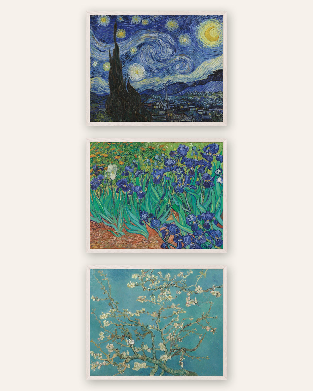 Van Gogh -julisteet, 3 kpl setti: Tähtikirkas yö, Iirikset ja Kukkivat mantelinoksat, valkoisissa tammikehyksissä