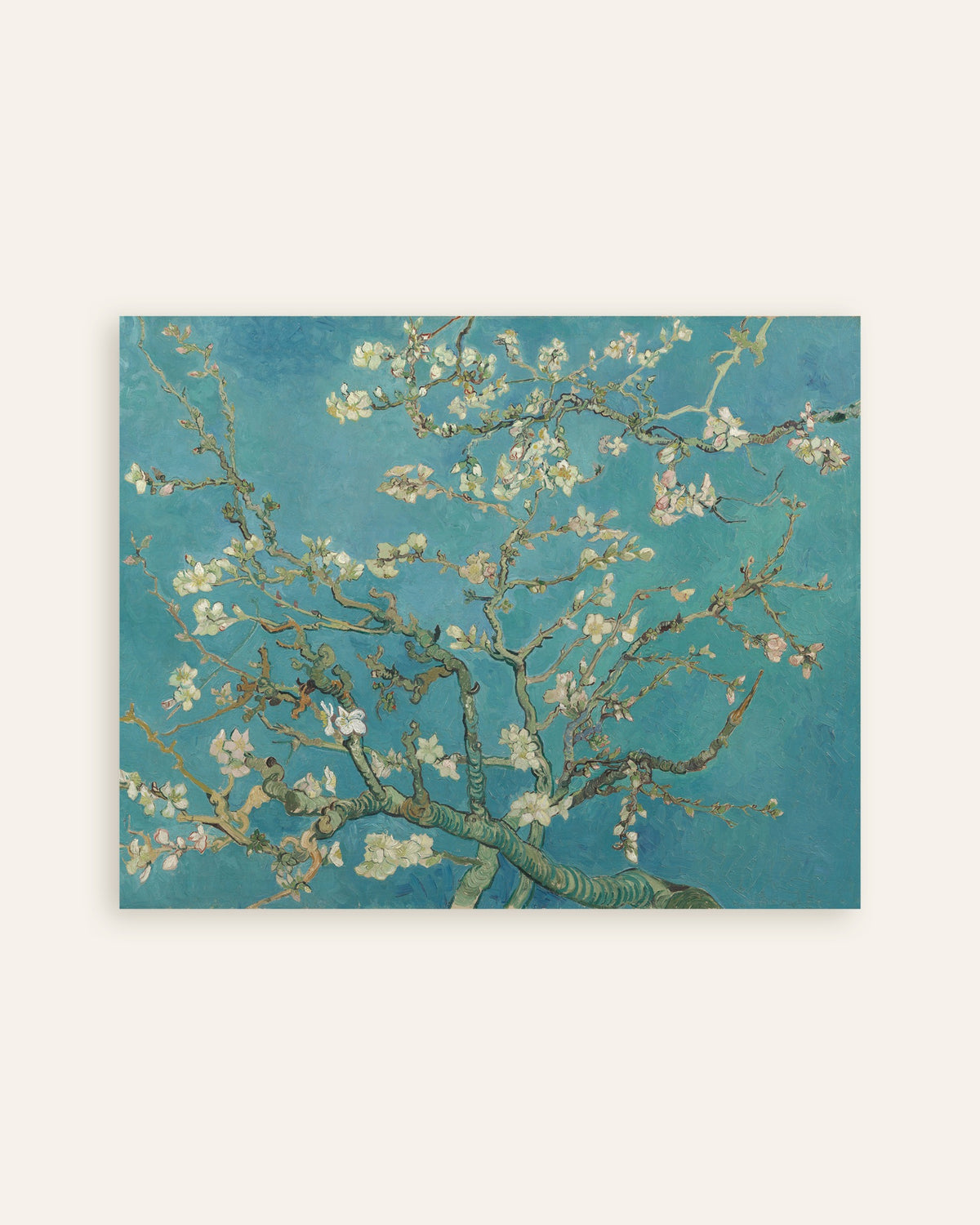 Vincent van Goghin Mantelinkukka (1890) -juliste, pienoiskuva