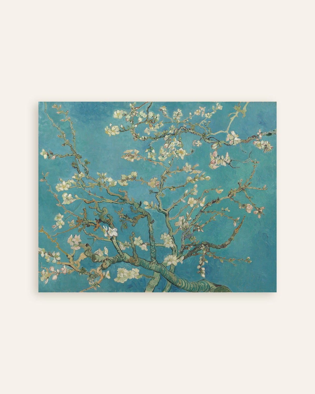 Vincent van Goghin Mantelinkukka (1890) -juliste, pienoiskuva
