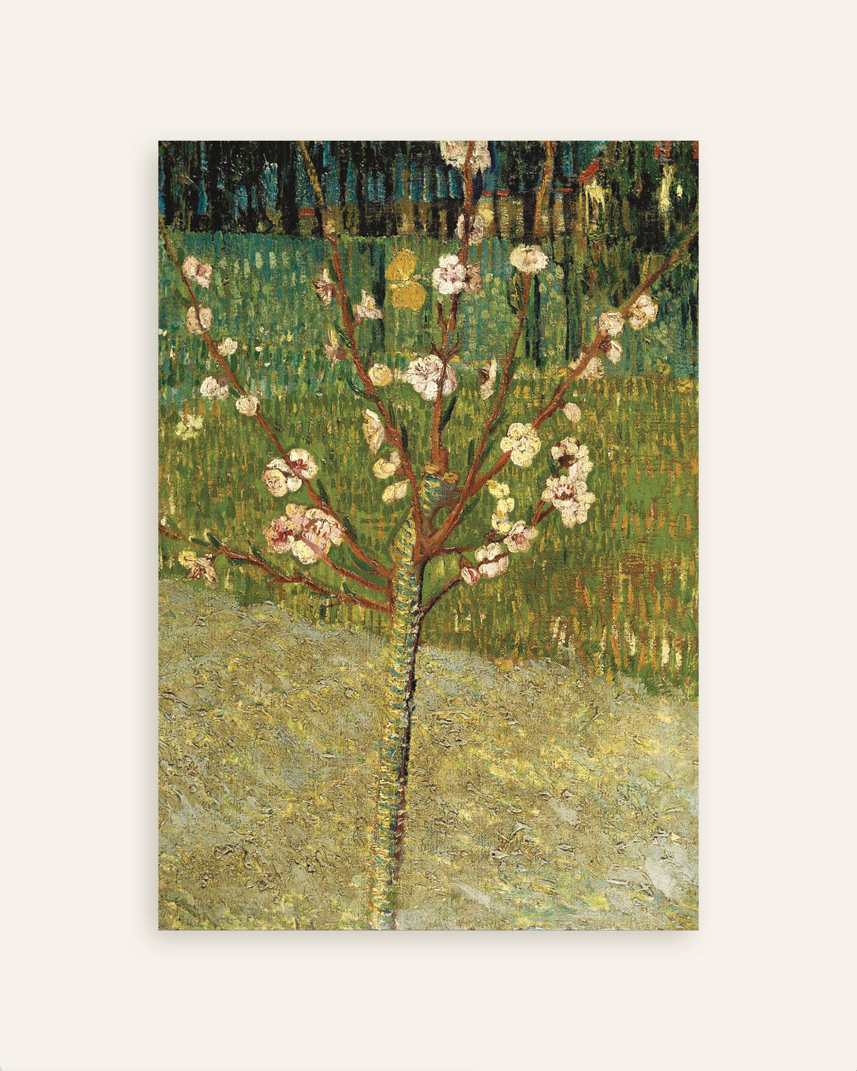 Juliste teoksesta Vincent van Goghin Kukkiva mantelipuu (1888), pikkukuva