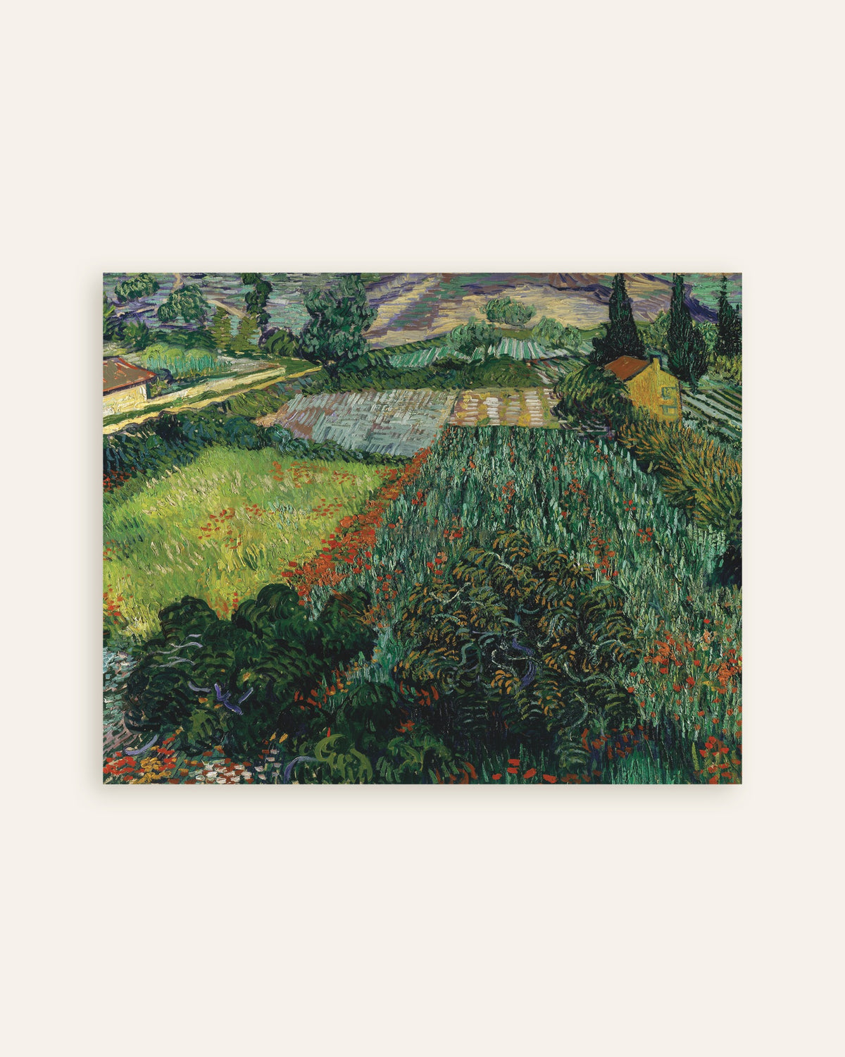 Juliste teoksesta Vincent van Goghin Unikkopelto (1889), pikkukuva
