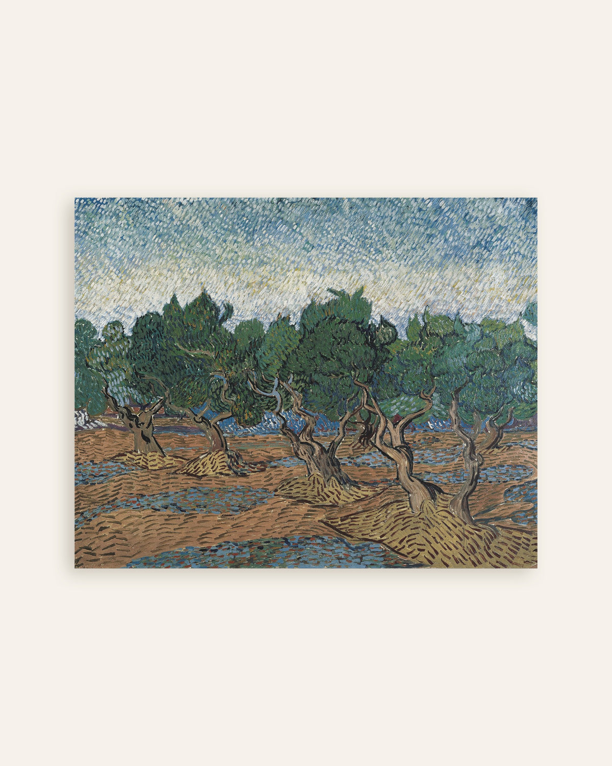 Juliste: Oliivilehto (1889), Vincent van Gogh, pikkukuva