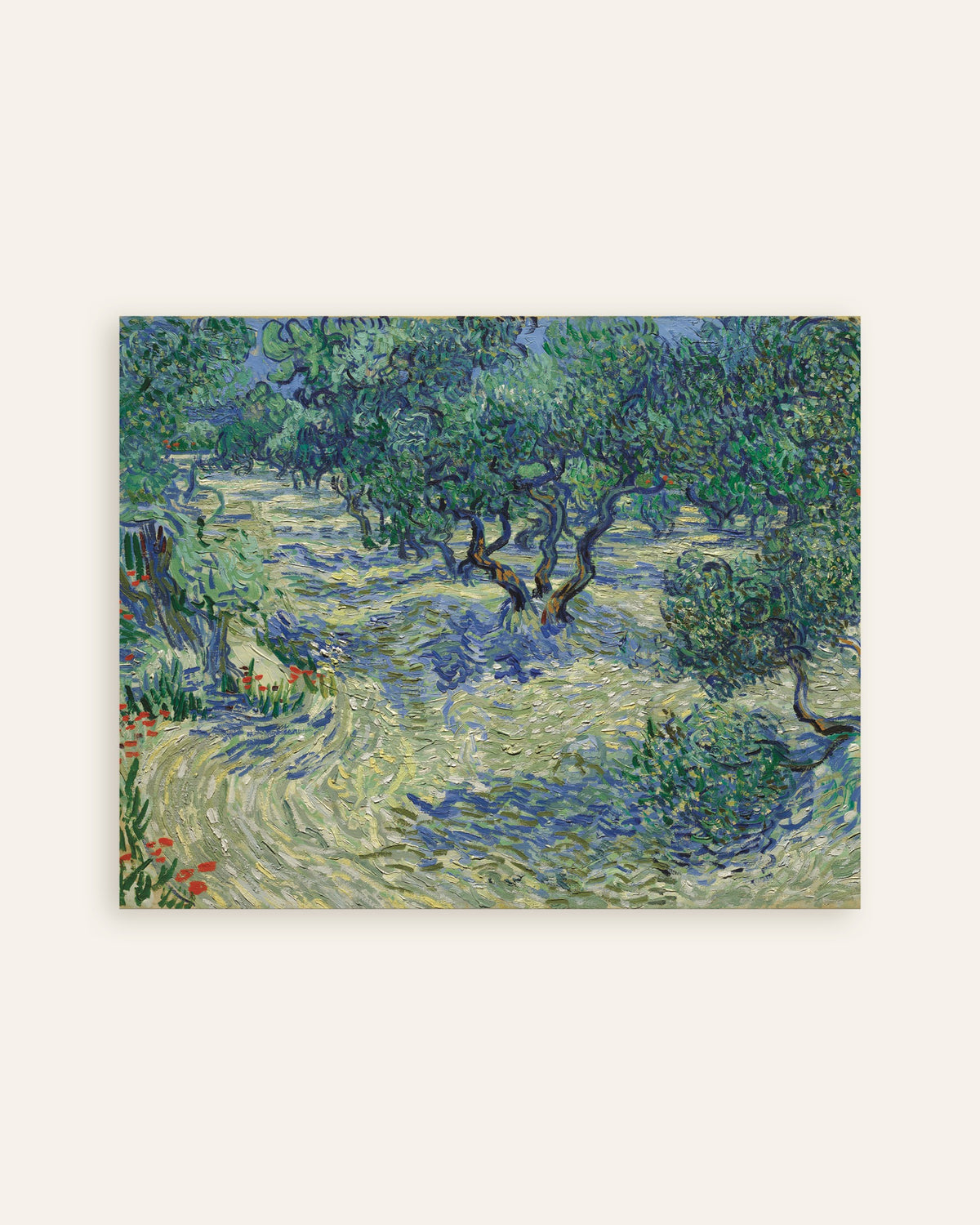 Juliste teoksesta Oliivilehto (1889), Vincent van Gogh, pienoiskuva