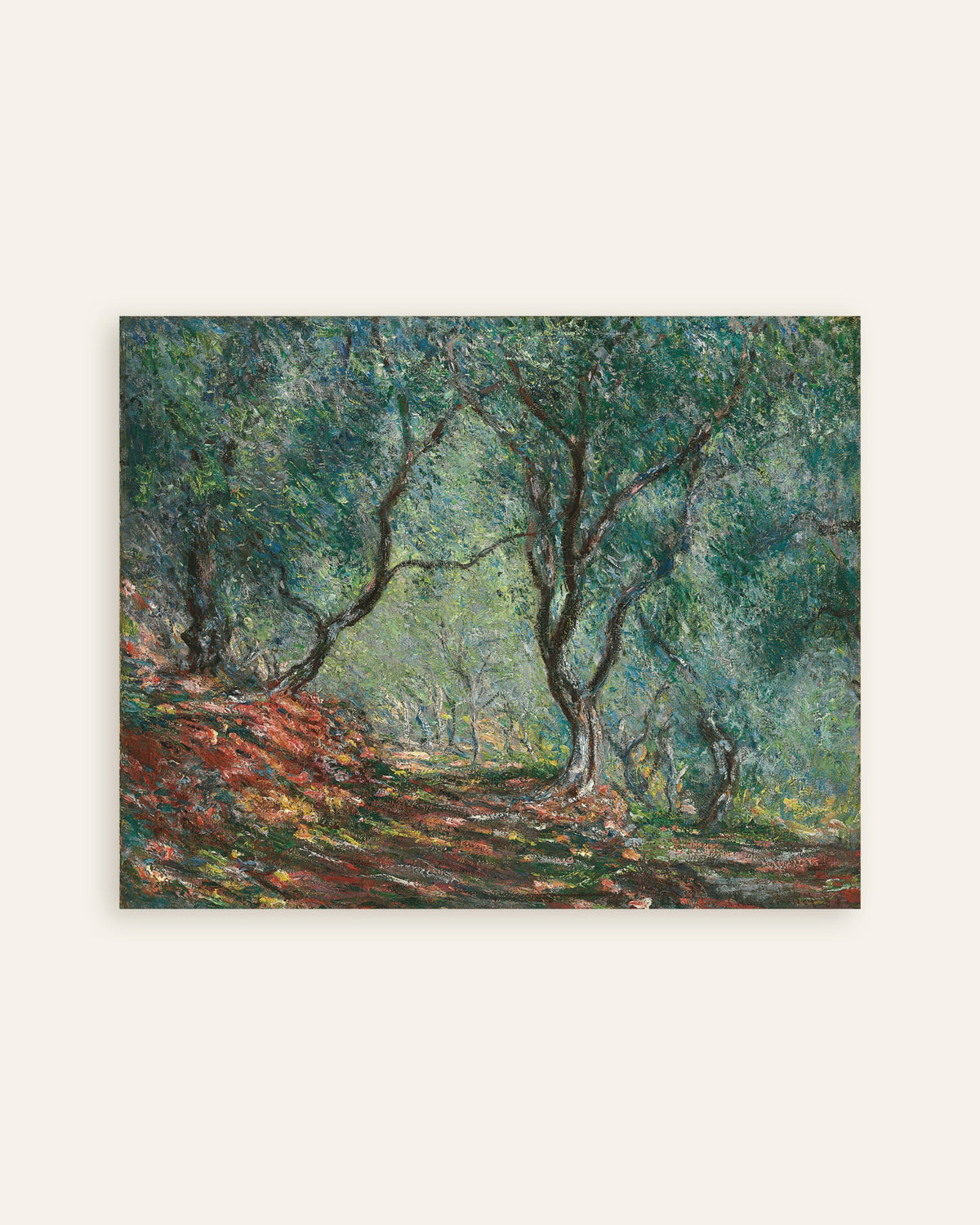 Claude Monet’n Oliivilehto Morenon puutarhassa (1884) -juliste, pienoiskuva