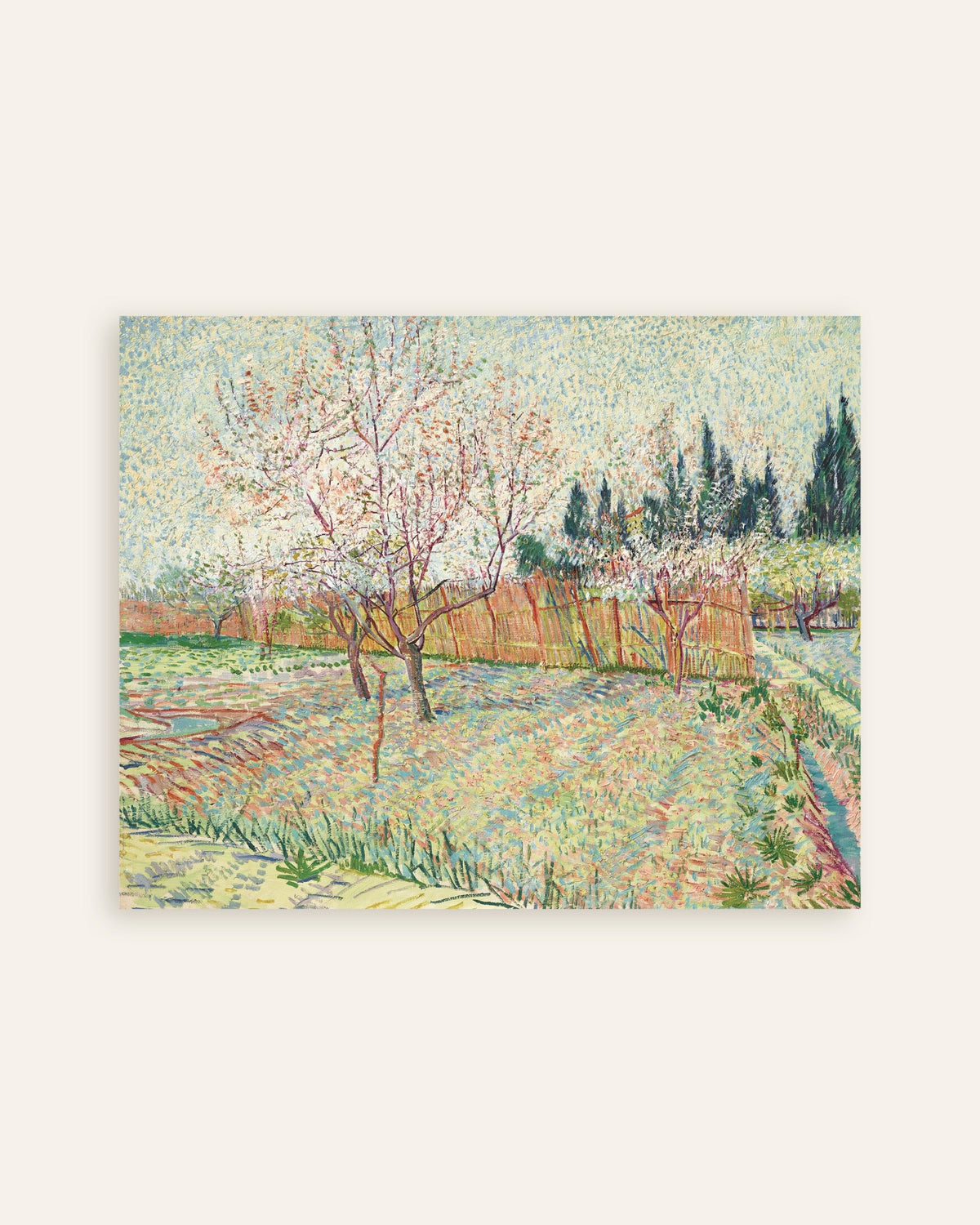 Juliste teoksesta Sypressien reunustama hedelmätarha (1888), Vincent van Gogh, pikkukuva