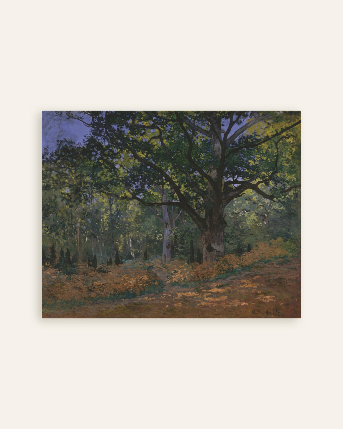 Claude Monet’n Bodmerin tammi, Fontainebleaun metsä (1865) -juliste, pienoiskuva