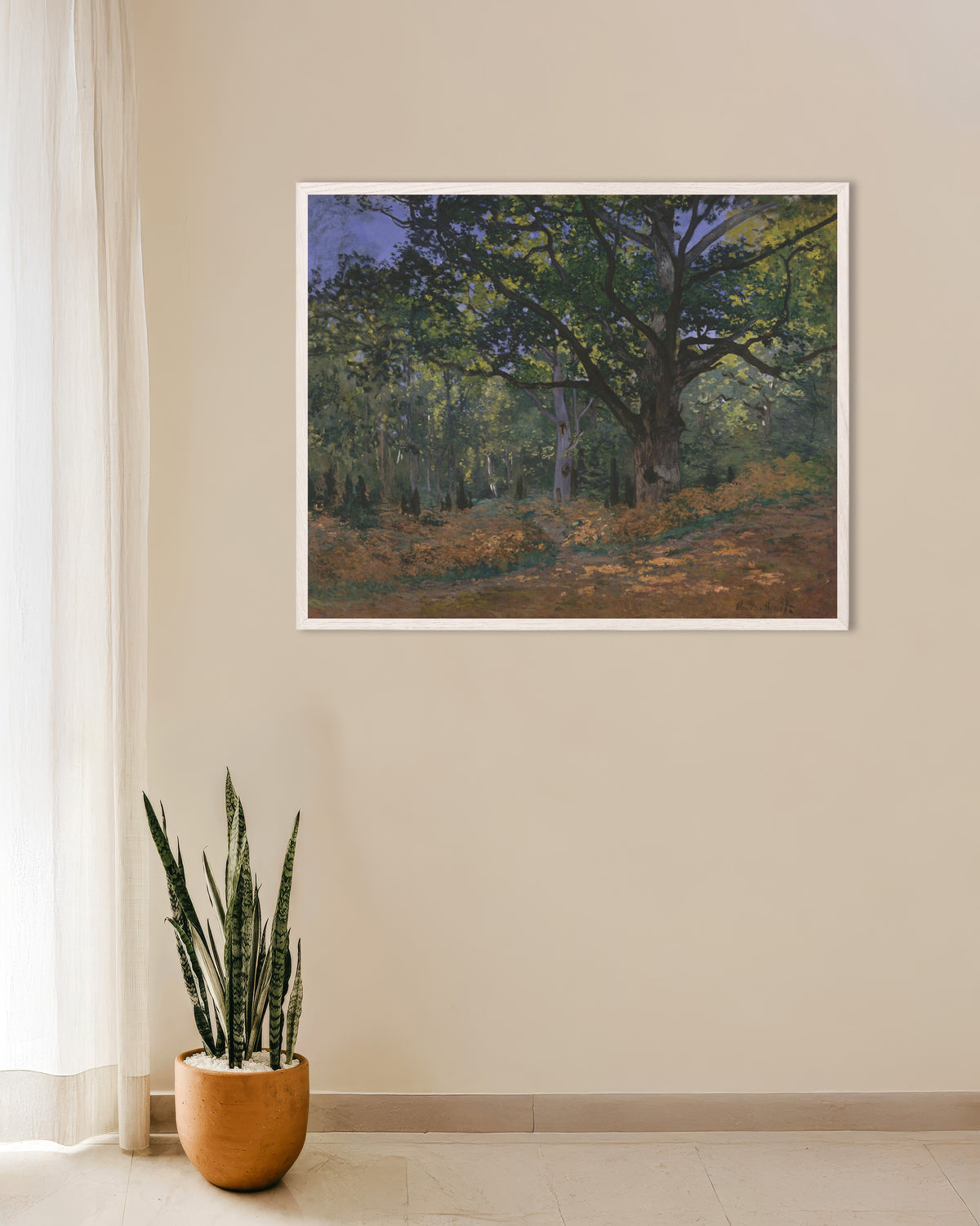 Claude Monet’n Bodmerin tammi, Fontainebleaun metsä (1865) -juliste valkoisessa puukehyksessä