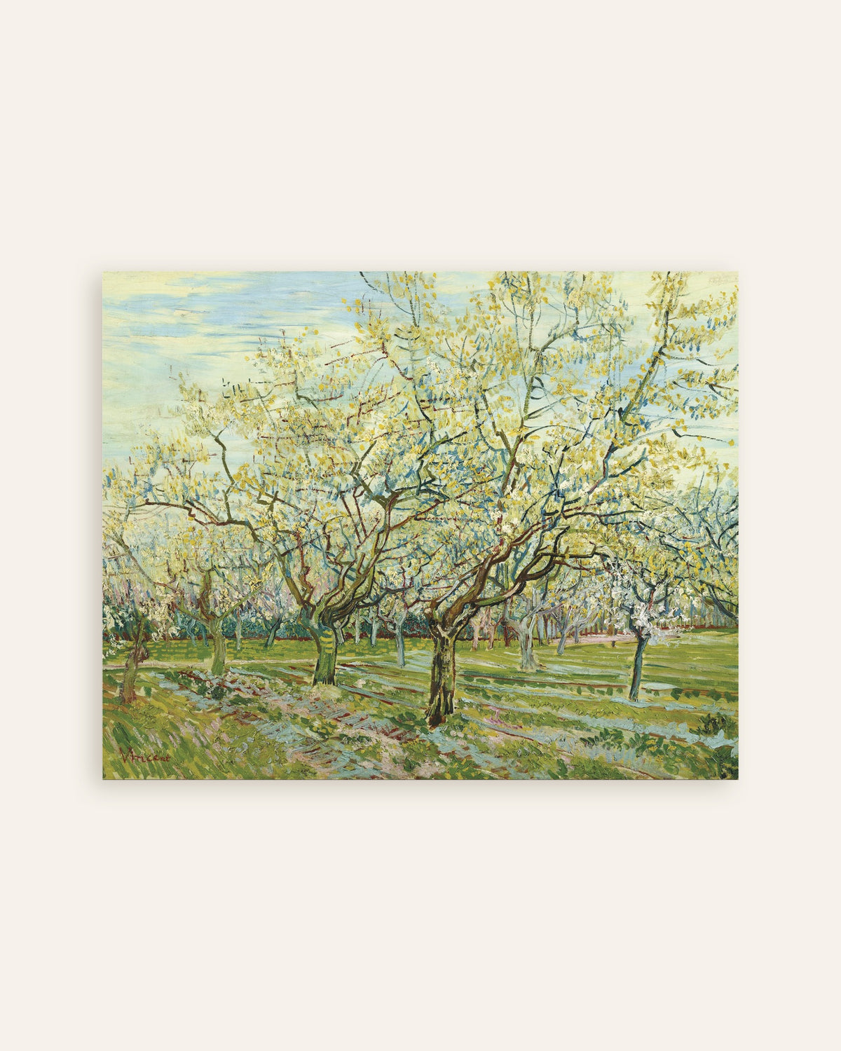 Juliste, jossa on Vincent van Goghin Valkoinen hedelmätarha (1888), pikkukuva