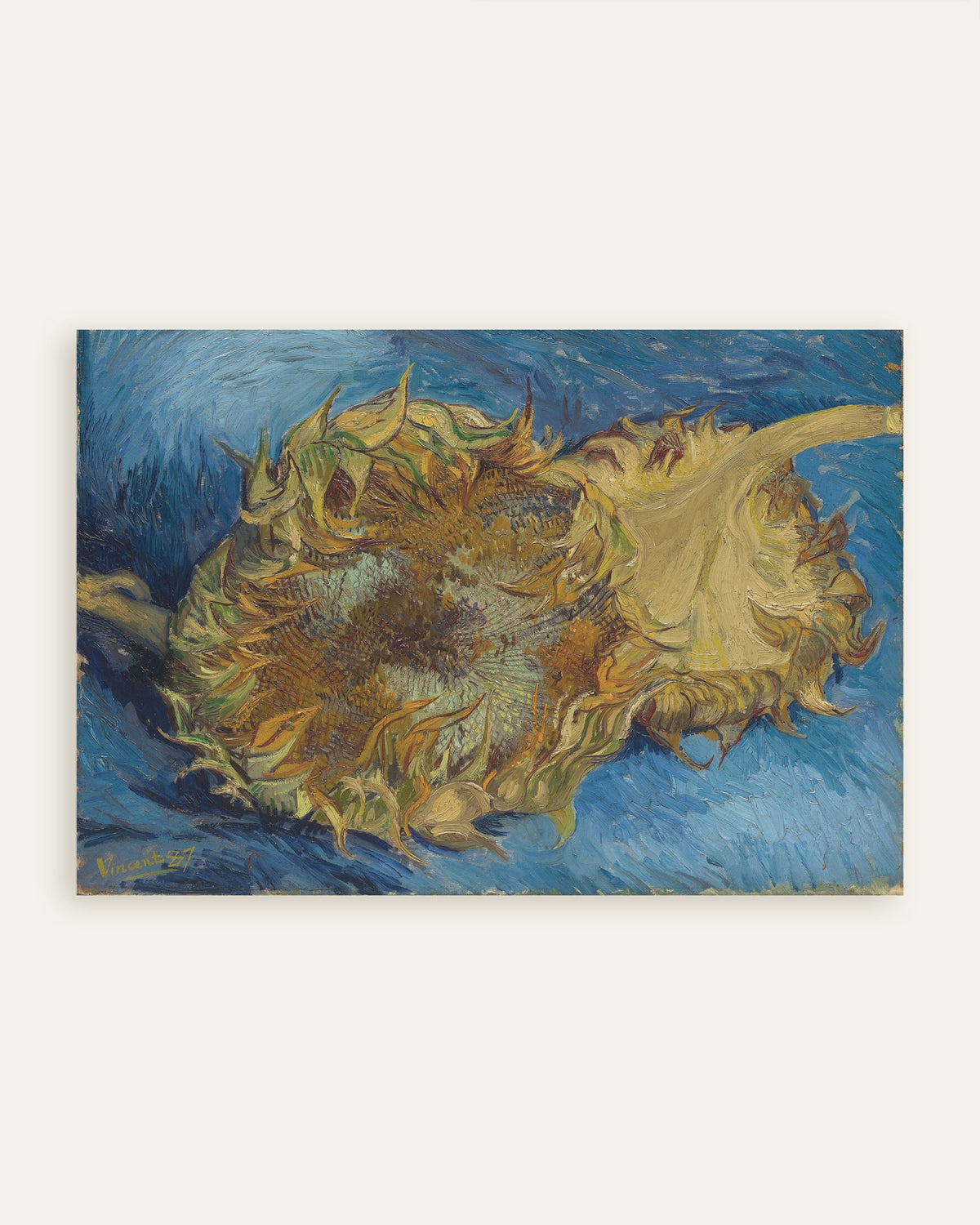 Juliste teoksesta Kaksi leikattua auringonkukkaa (1887), Vincent van Gogh, pikkukuva