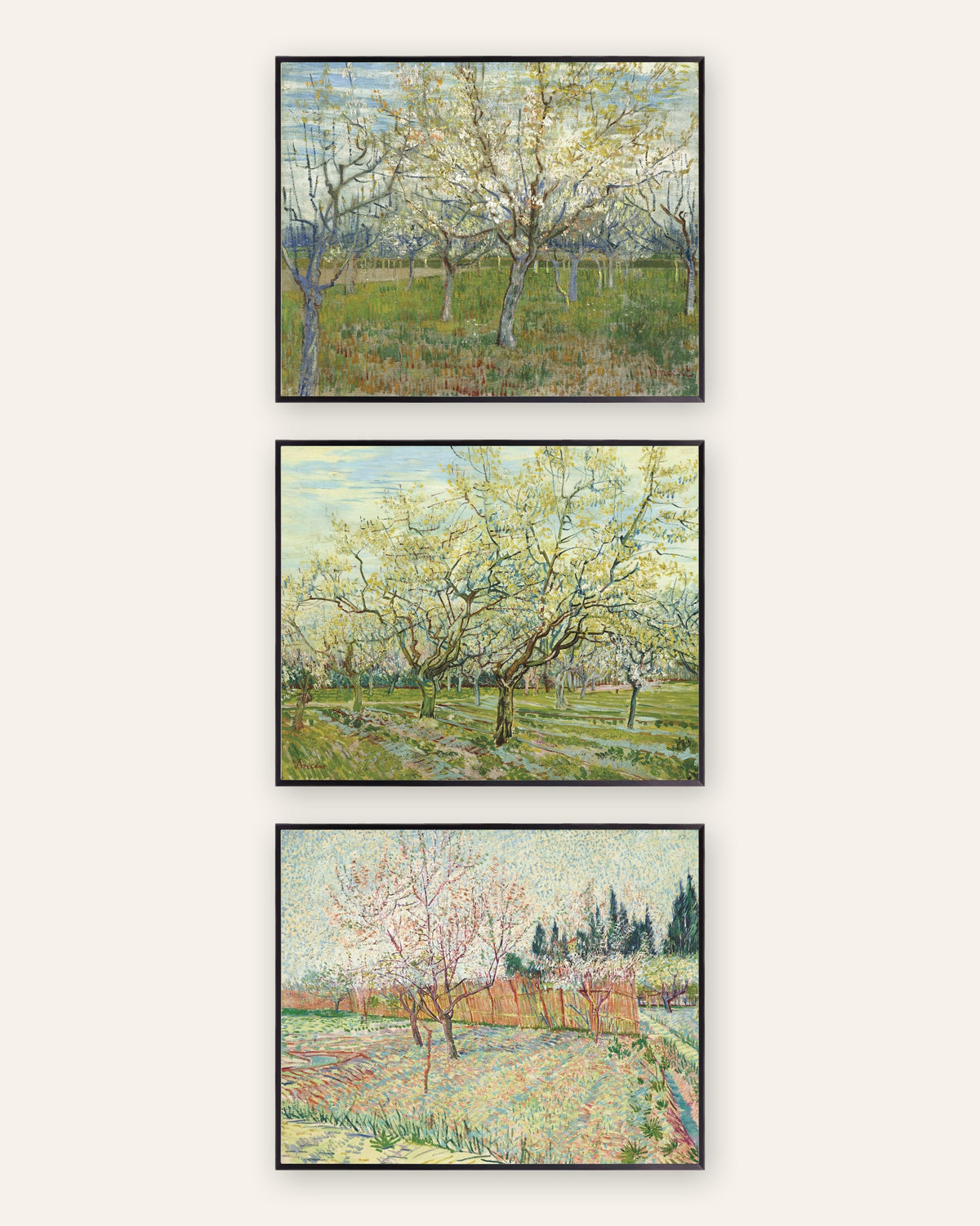 Van Gogh -julisteet kukkivista hedelmätarhoista, 3 kpl setti: vaaleanpunainen, valkoinen ja sypressit, mustissa metallikehyksissä