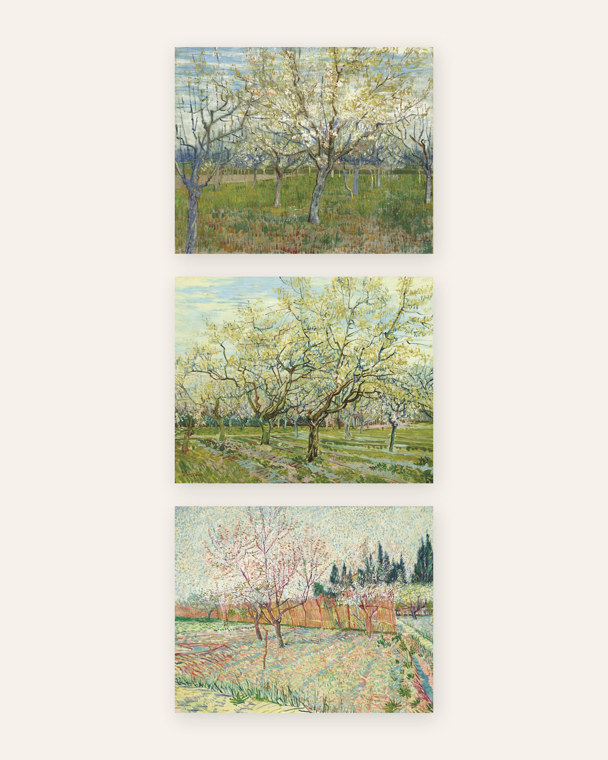 Van Gogh -julisteet kukkivista hedelmätarhoista, 3 kpl setti: vaaleanpunainen, valkoinen ja sypressit, ilman kehystä