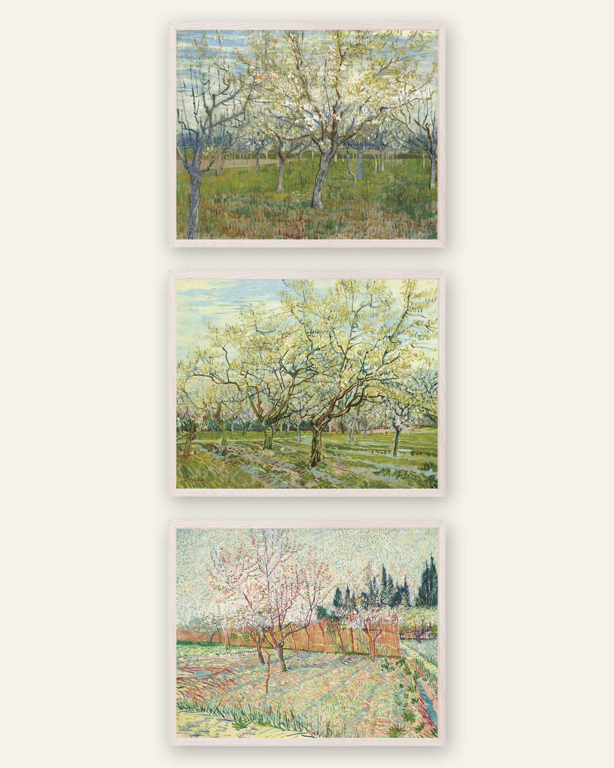 Van Gogh -julisteet kukkivista hedelmätarhoista, 3 kpl setti: vaaleanpunainen, valkoinen ja sypressit, valkoisissa tammikehyksissä
