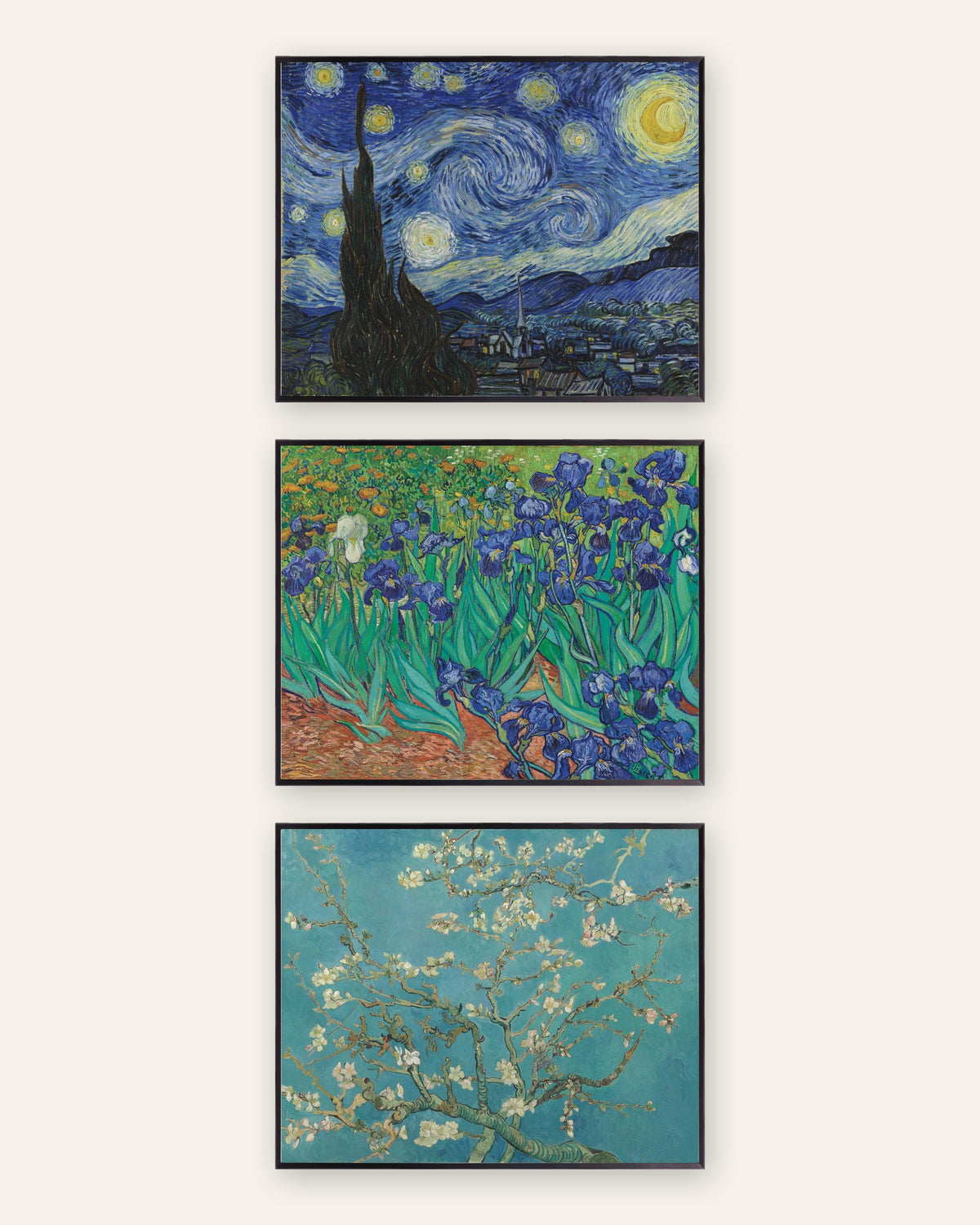 Van Gogh -julisteet, 3 kpl setti: Tähtikirkas yö, Iirikset ja Kukkivat mantelinoksat, mustissa metallikehyksissä